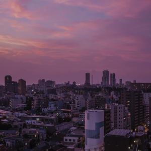 风间阿姨主演的全部电影在线观看免费
