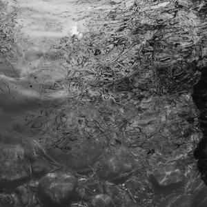 风间阿姨主演的全部电影在线观看免费
